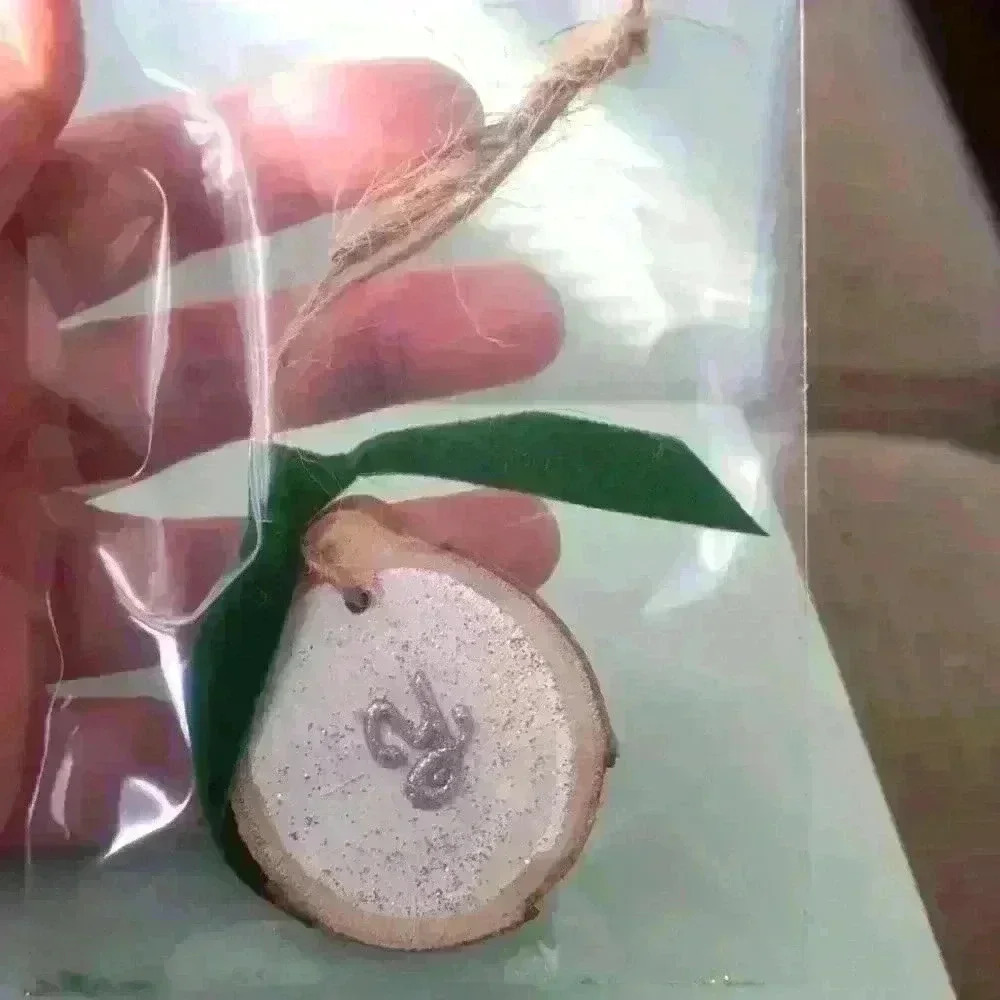 Christmas wood ornament  "y"